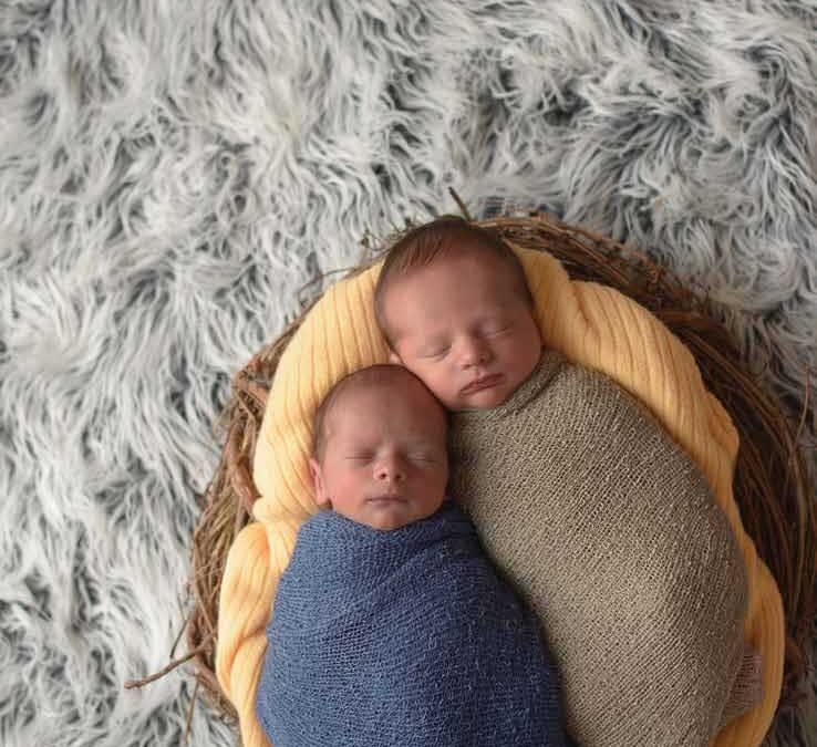 Newborn Twins in Nest