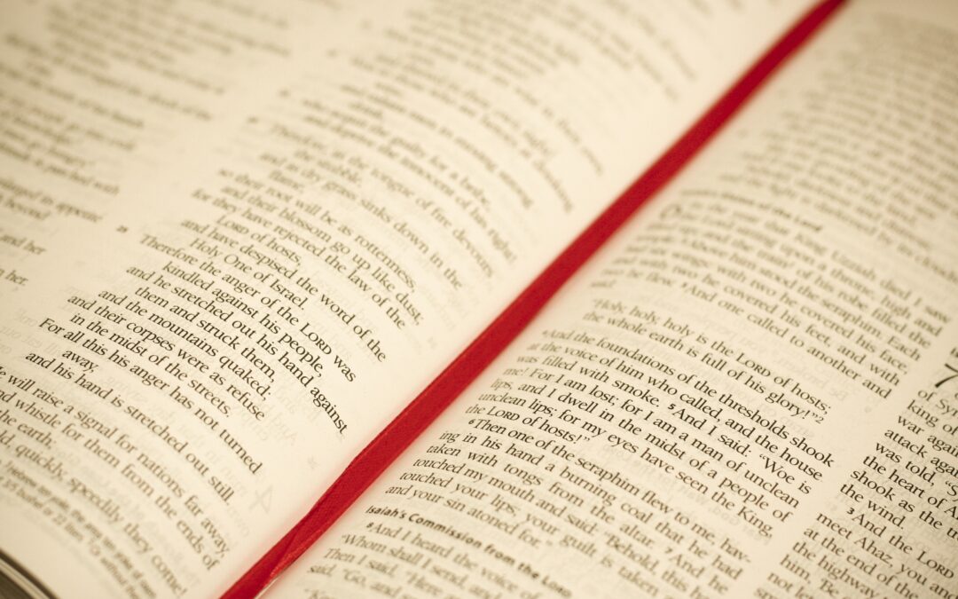 bible-blur-book-267709