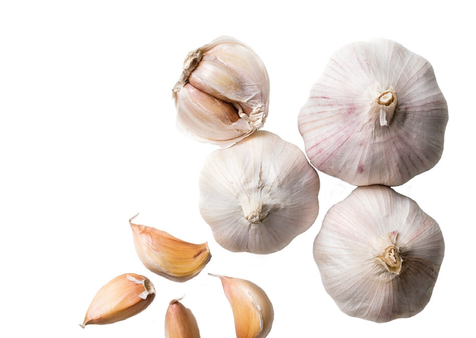 garlic