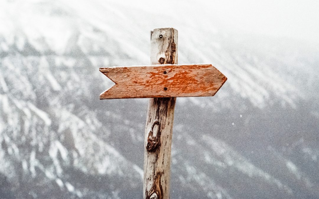 Winter 2020: We are called! by Kathryn A. Kleinhans