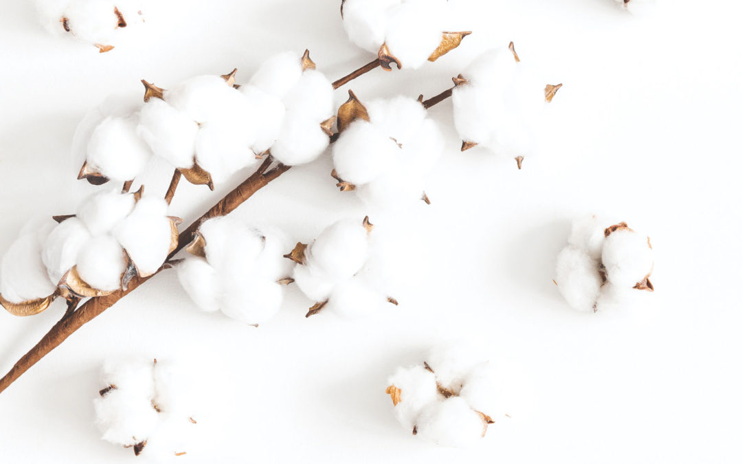 Who would want a wreath of cotton? - Gather Magazine