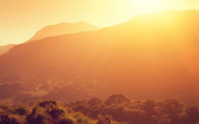 When you’re paying attention, it can be hard not to get angry