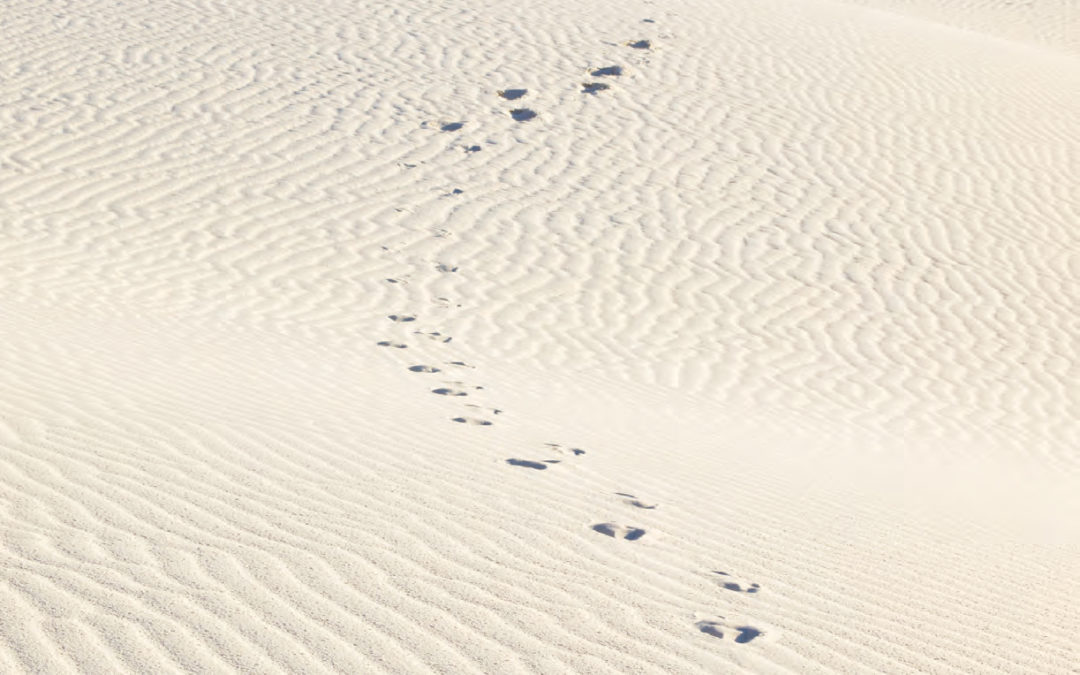 Walking with neighbors is a Lenten practice