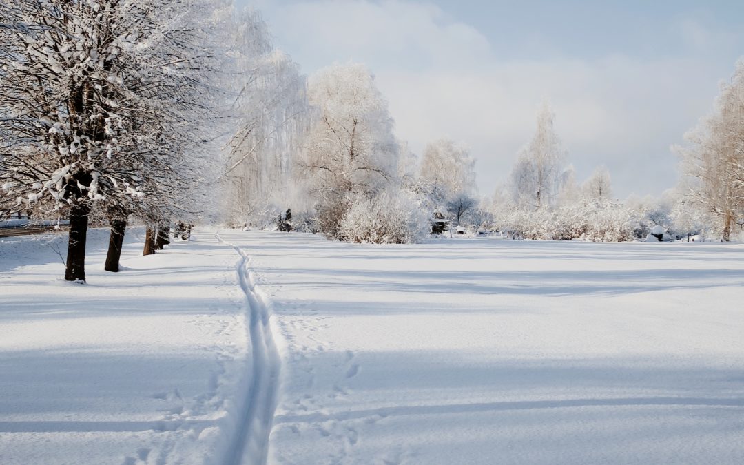 Singing, writing, moving, connecting: Advent rituals for uncertain times