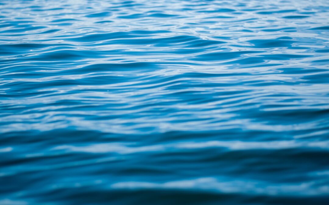 brady-bellini-eCBeThbM7Mk-unsplash