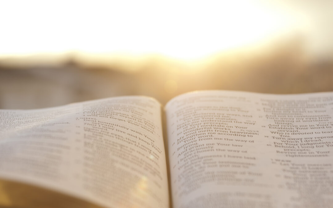 Winter 2026-27: “Amos & Micah: Prophets of grief and amazement,” by the Rev. Heidi Haverkamp
