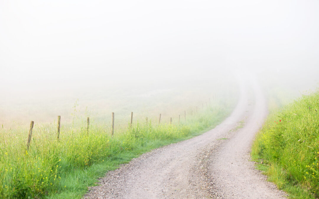 Country road disappearing in fog