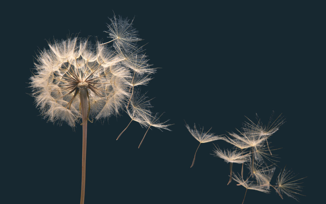 Anything to declare?