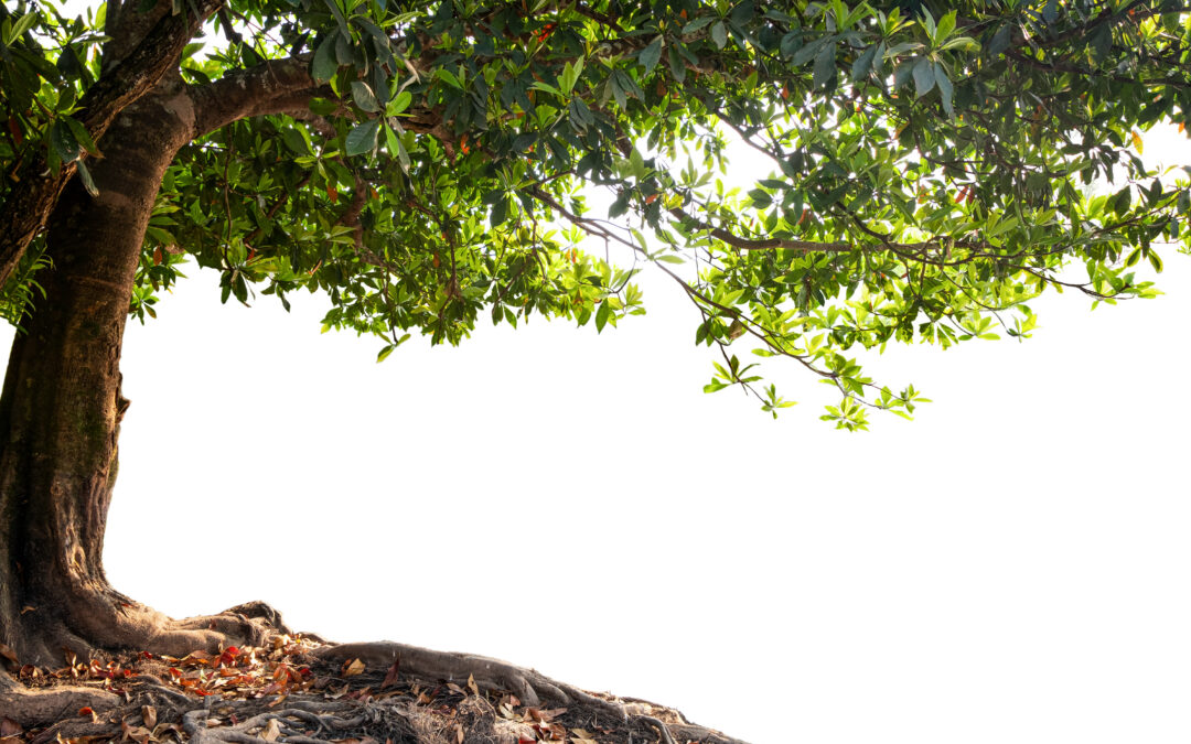 Spiritual decluttering