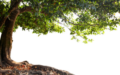 Spiritual decluttering