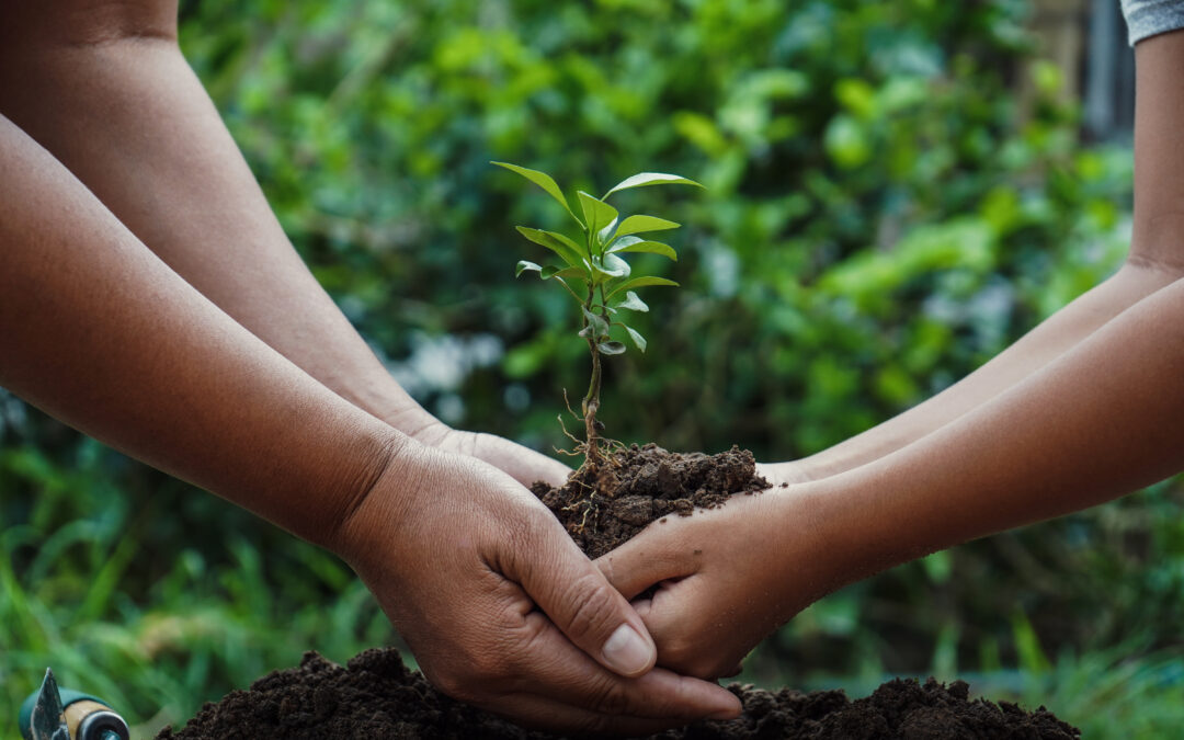 Planting seeds in their lives